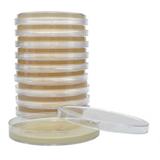 SABOURAUD DEXTROSE AGAR	- 60 mm 